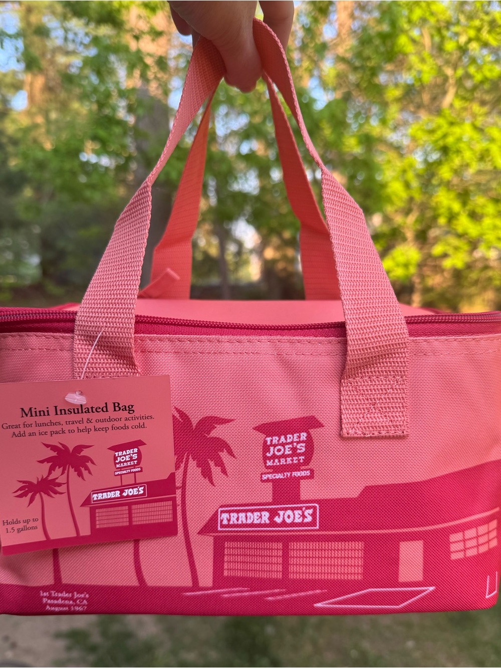 Trader Joe's Pink Mini Insulated Bag